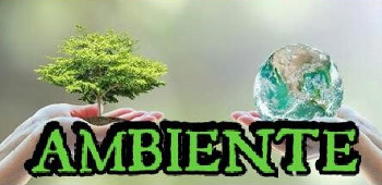 ambiente